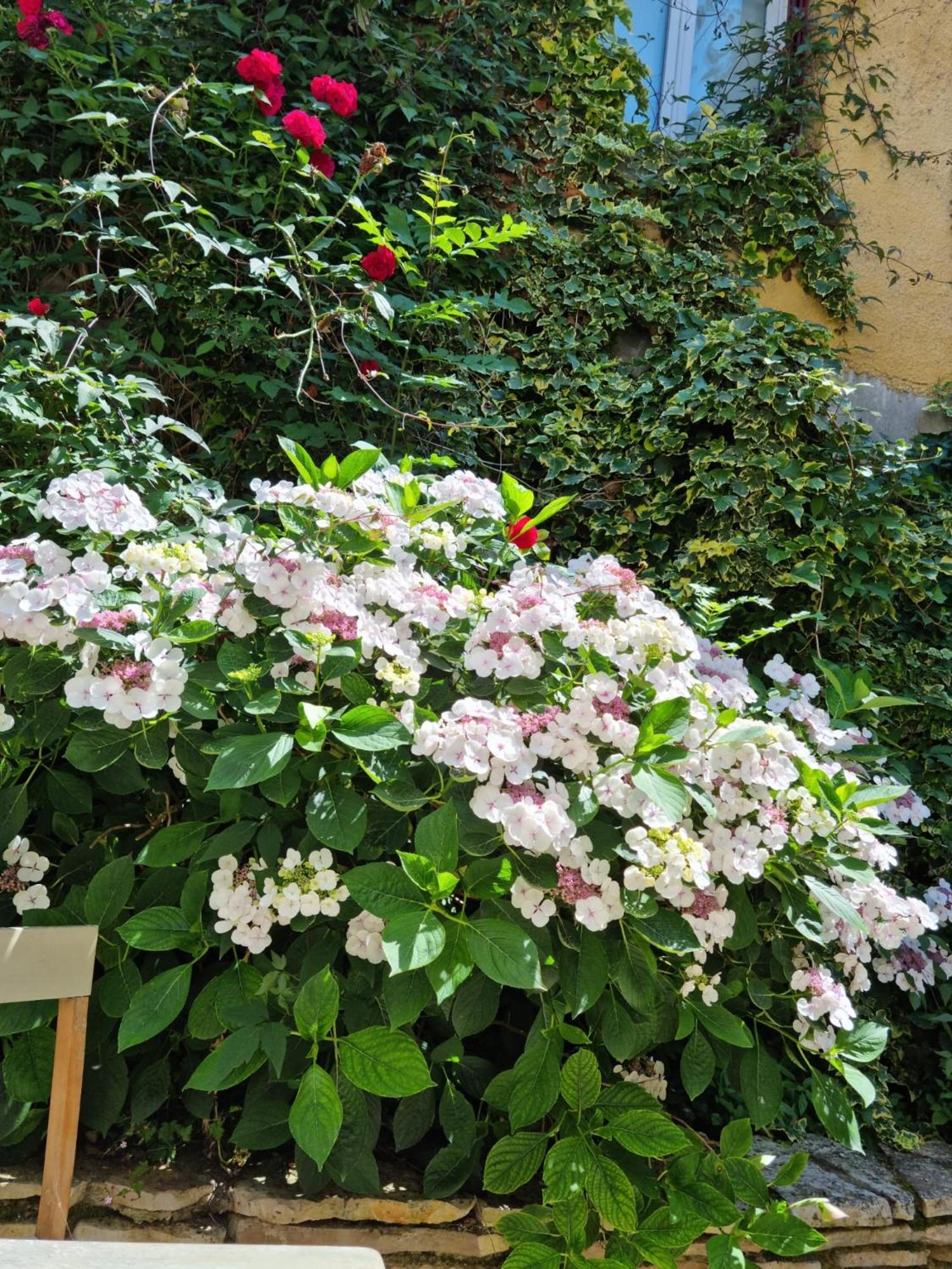 Suite De Charme Avec Jacuzzi Et Jardin Privatif Paris Au Calme Saint-Prix  Ngoại thất bức ảnh